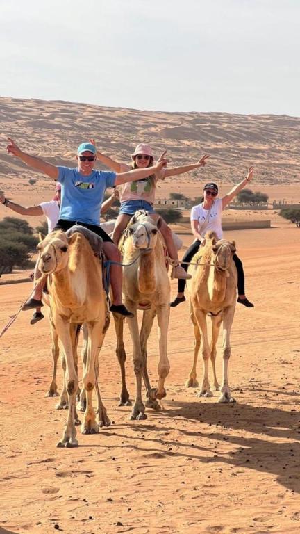 Camel group