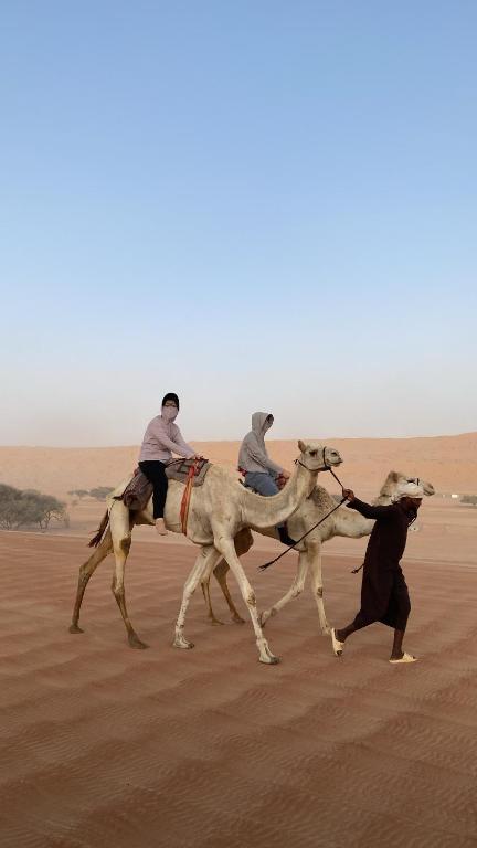 Camel ride